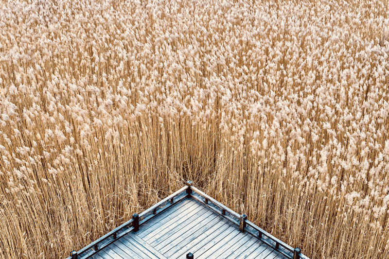 1638239894498353.jpg 野鸭湖 (7)_副本.jpg