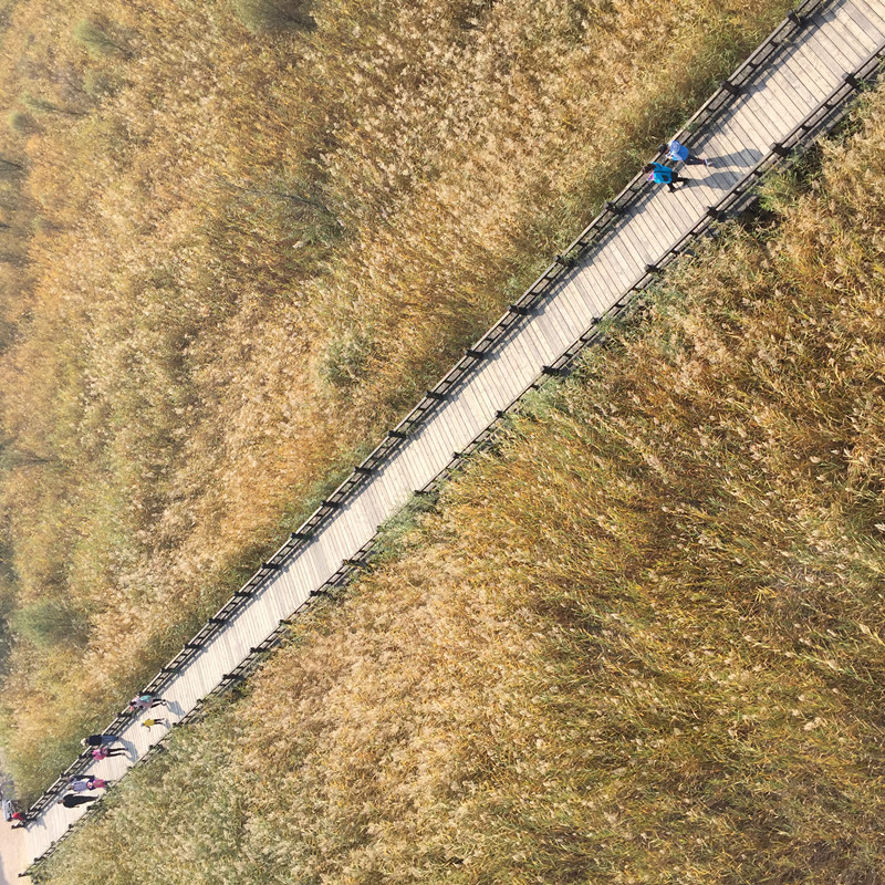 1638239905855928.jpg 野鸭湖 (8)_副本.jpg