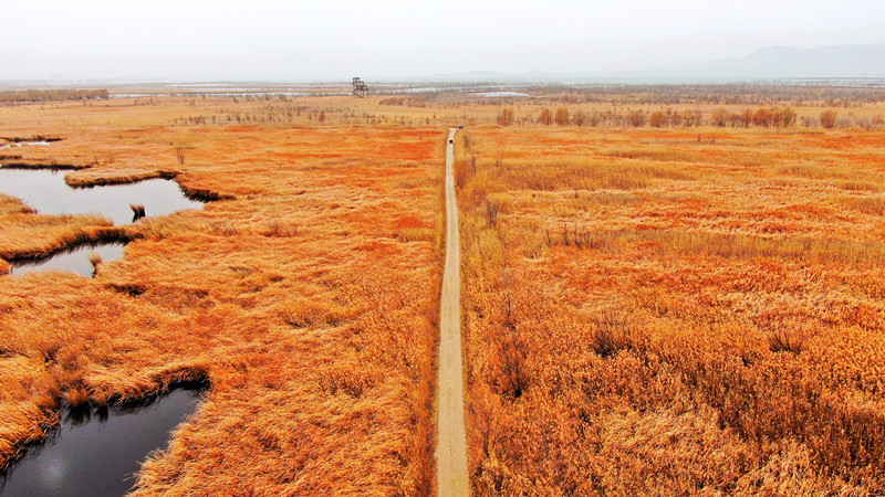 1638239956360187.jpg 野鸭湖 (3)_副本.jpg