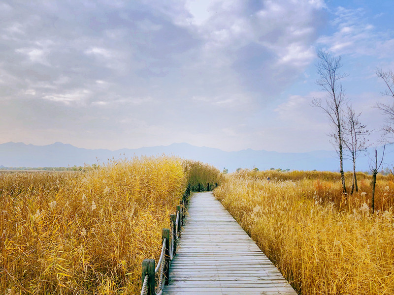 1638239978788014.jpg 野鸭湖 (5)_副本.jpg