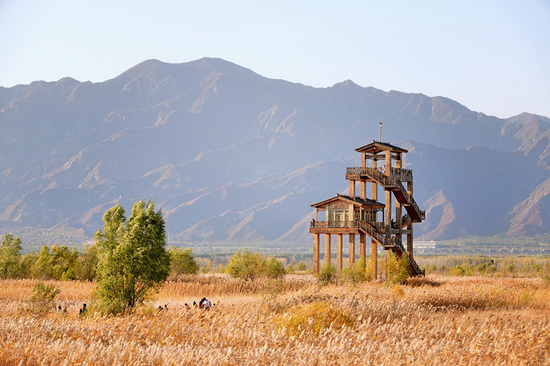 1638239990798634.jpg 野鸭湖 (6)_副本.jpg