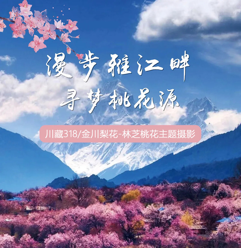 1645033451_GwvrUhRD_副本.jpg