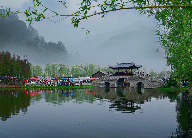 李中水上森林公园 (1)_副本.jpg