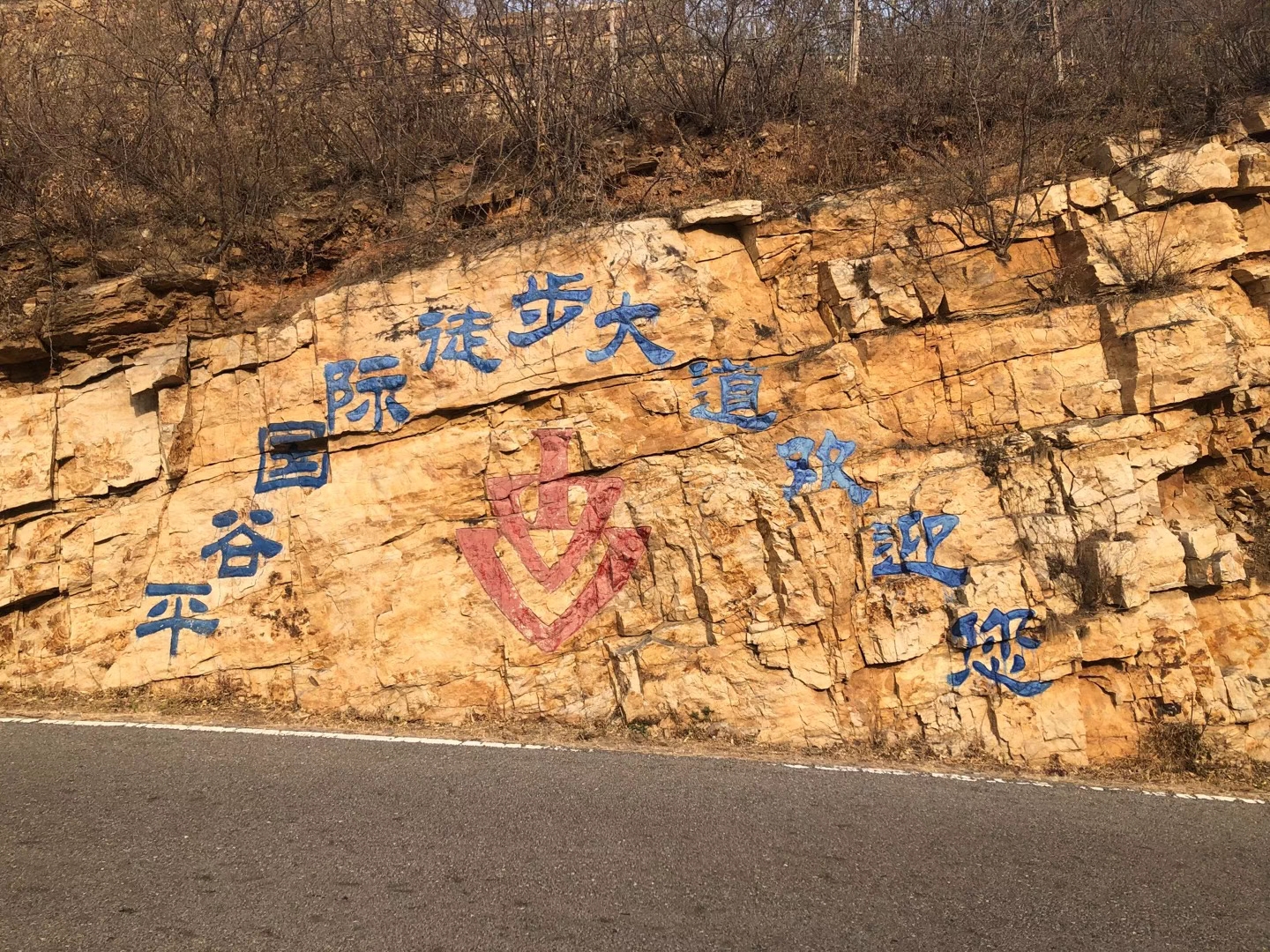 微信图片_20220323170834.jpg