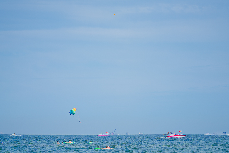 DSC08828.jpg