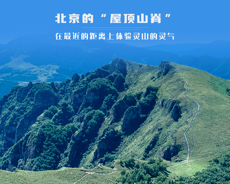 ★印象细图A3.jpg