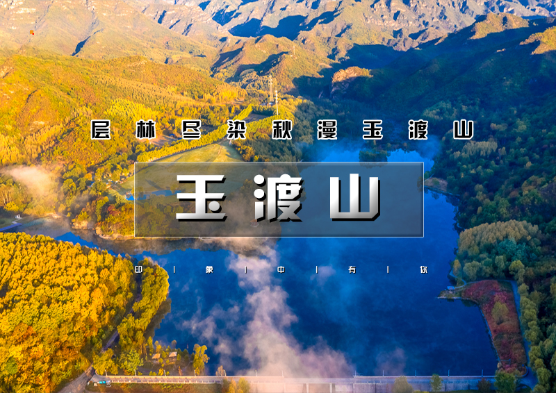 ▌ 印象头图模版D3.jpg
