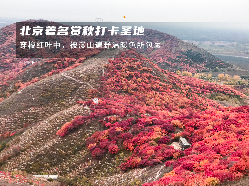 ★印象细图F4.jpg