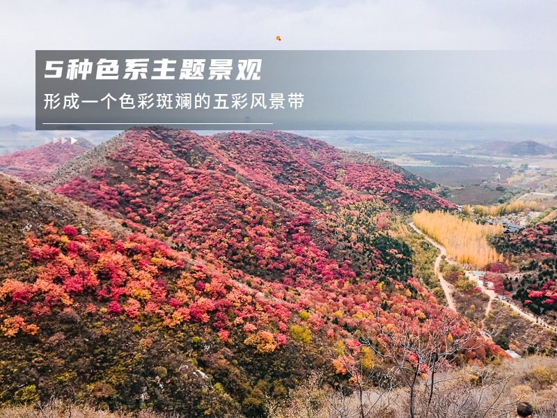 ★印象细图F2.jpg