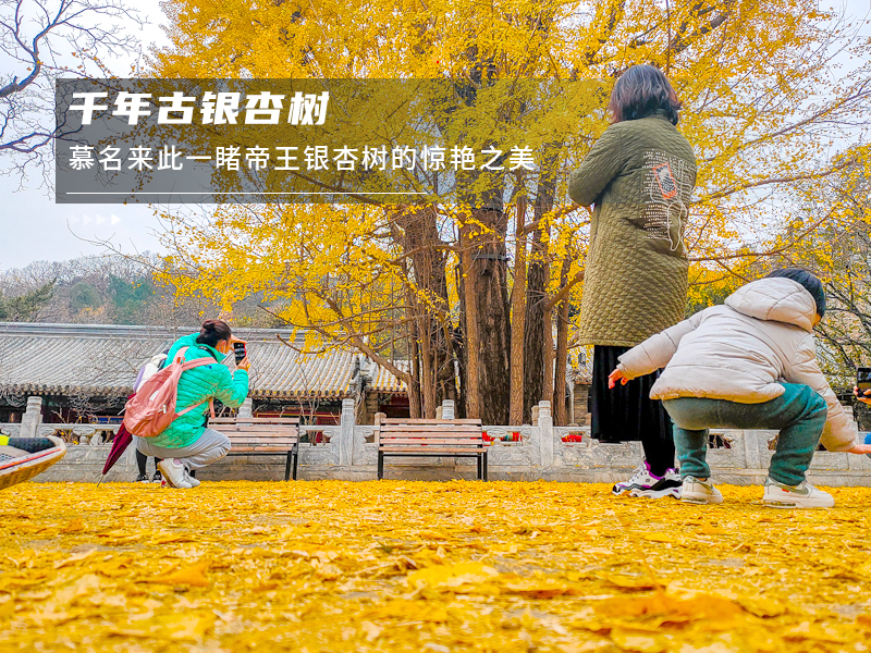 ★印象细图F3.jpg