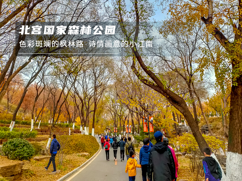 ★印象细图F1.jpg