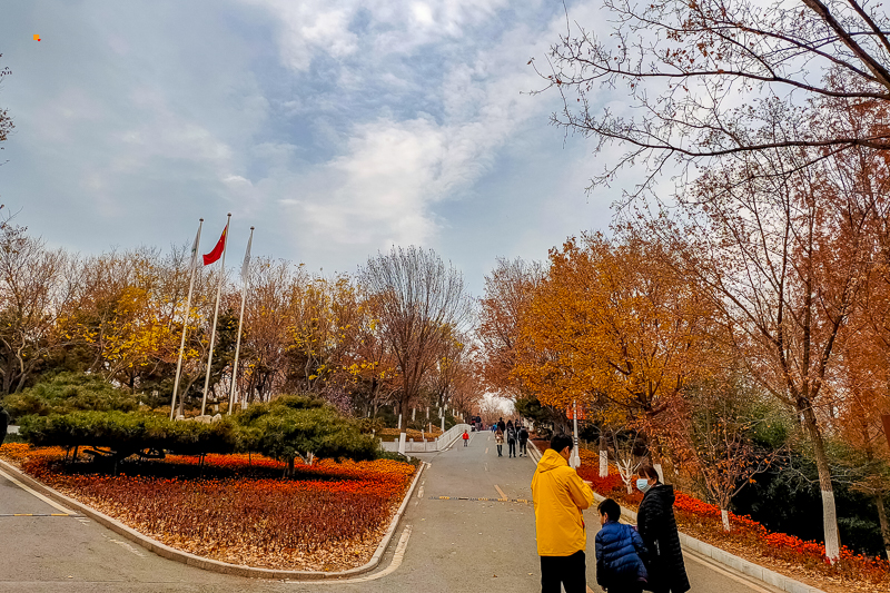 微信图片_20201114153604.jpg