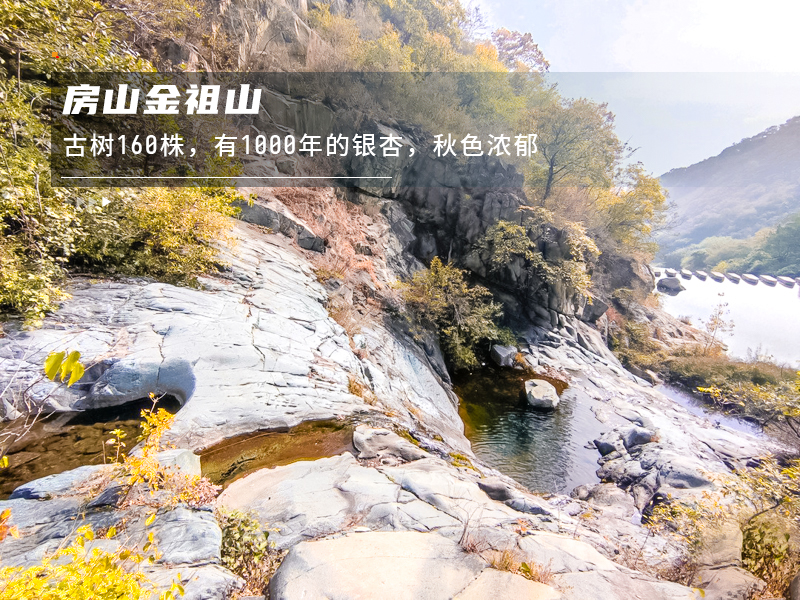 ★印象细图F1.jpg