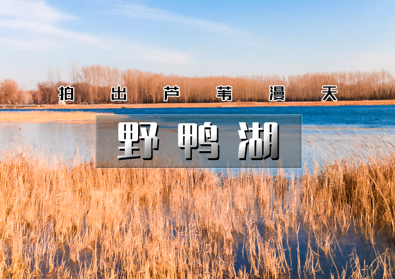 1667184717473876.png 微信截图_20221031105051.png