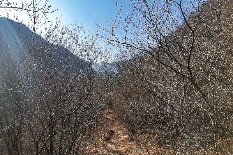 微信图片_2021022110062511.jpg
