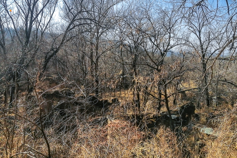 微信图片_202102211006252.jpg