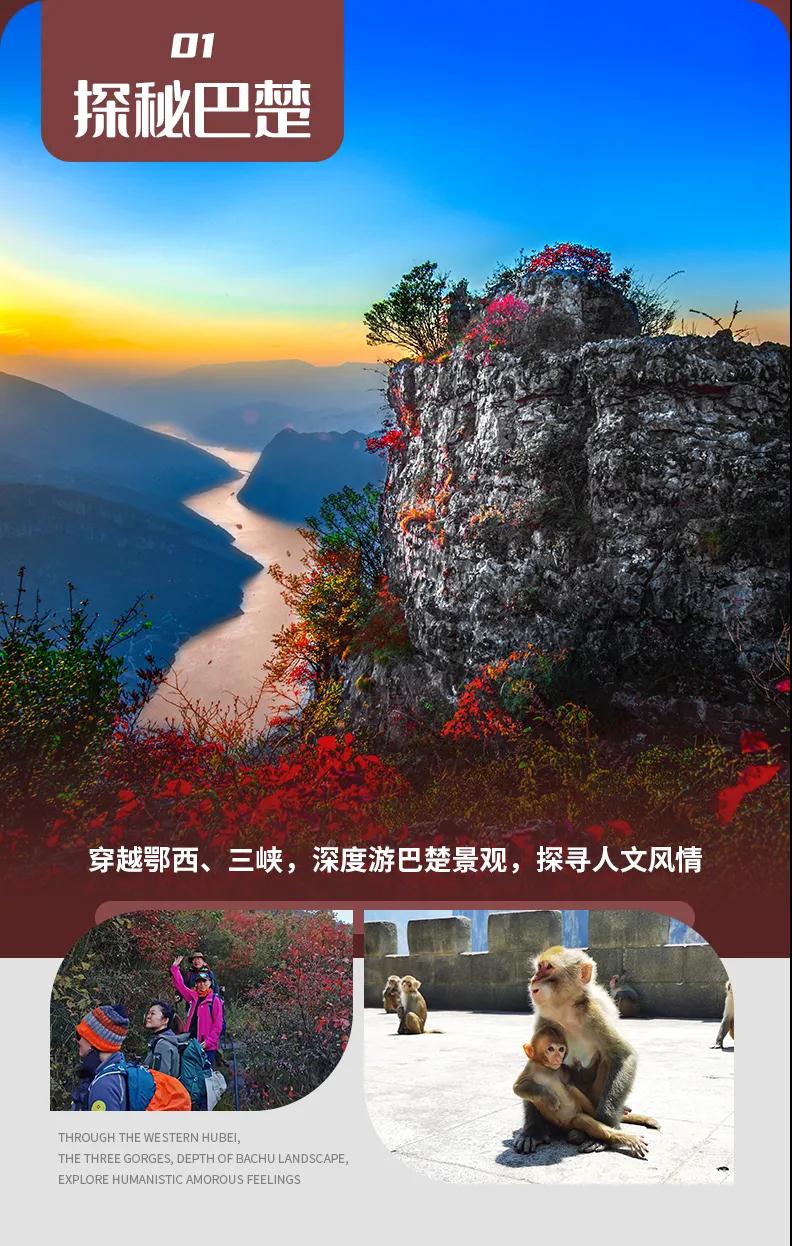 微信图片_20230207134713.jpg