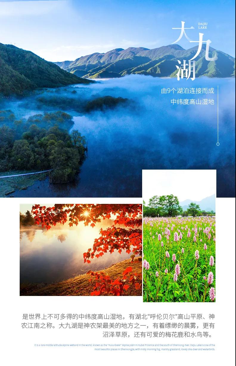 微信图片_20230207135002.jpg