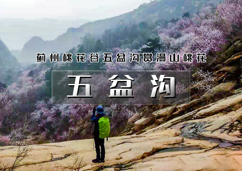 微信图片_20230320104535.jpg