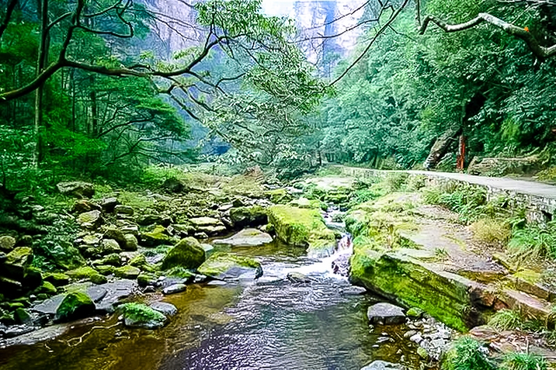 1596096542_iyzAO8TW.jpg