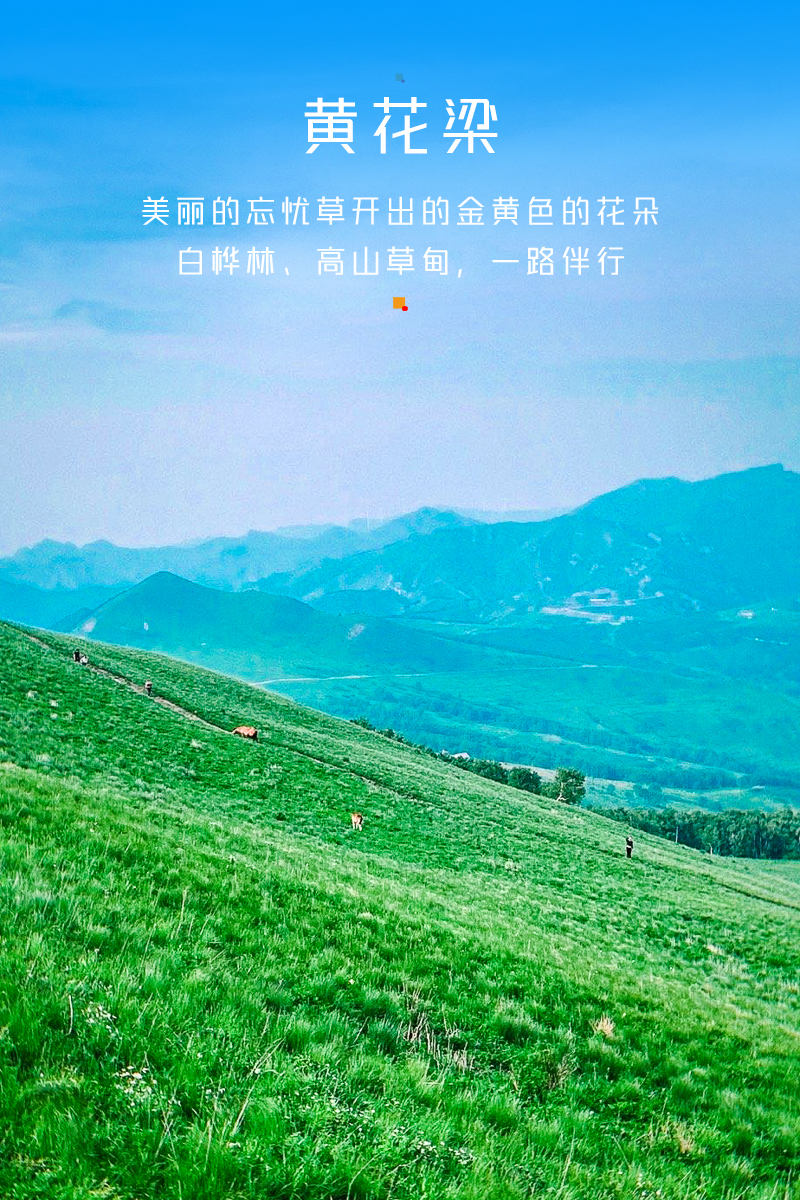 ★印象细图-竖A1.jpg