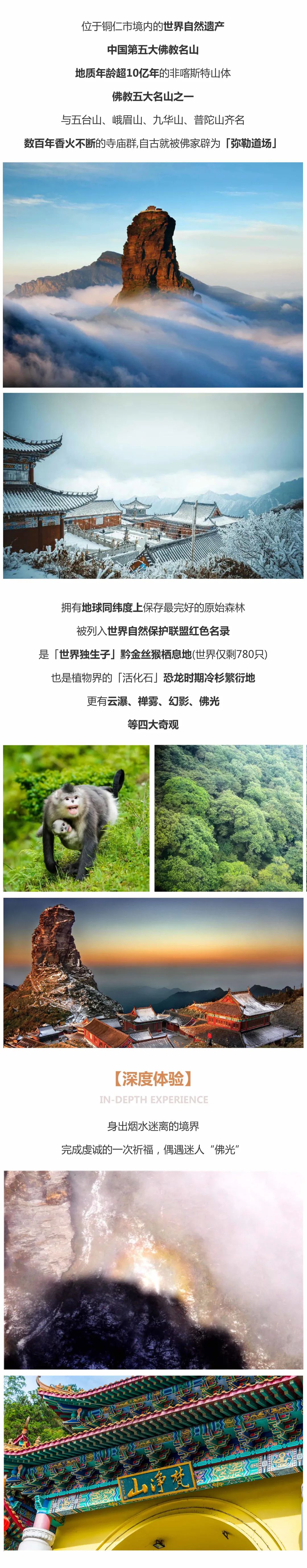 953b55d3d6f1d3f7d8a20e17f146b0c4-sz_1783770.jpg