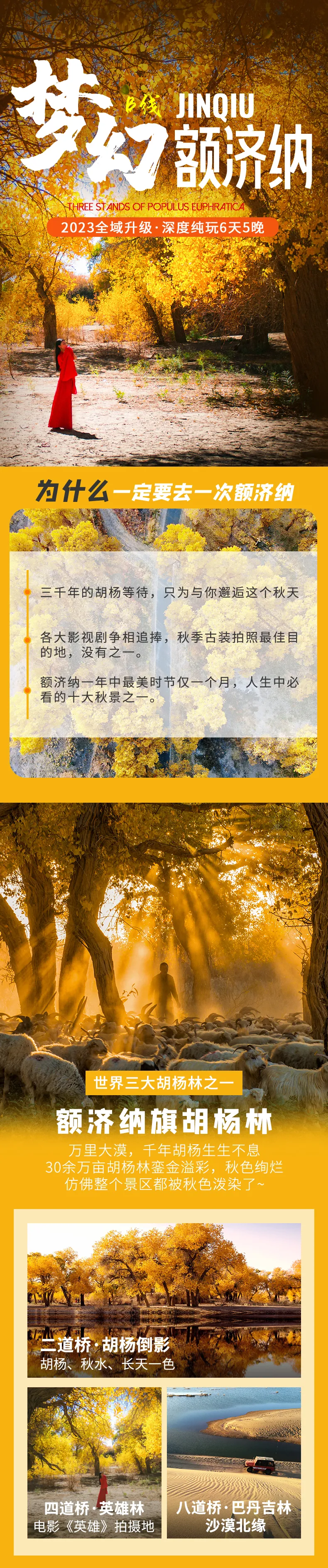 微信图片_20230803154557(1).png