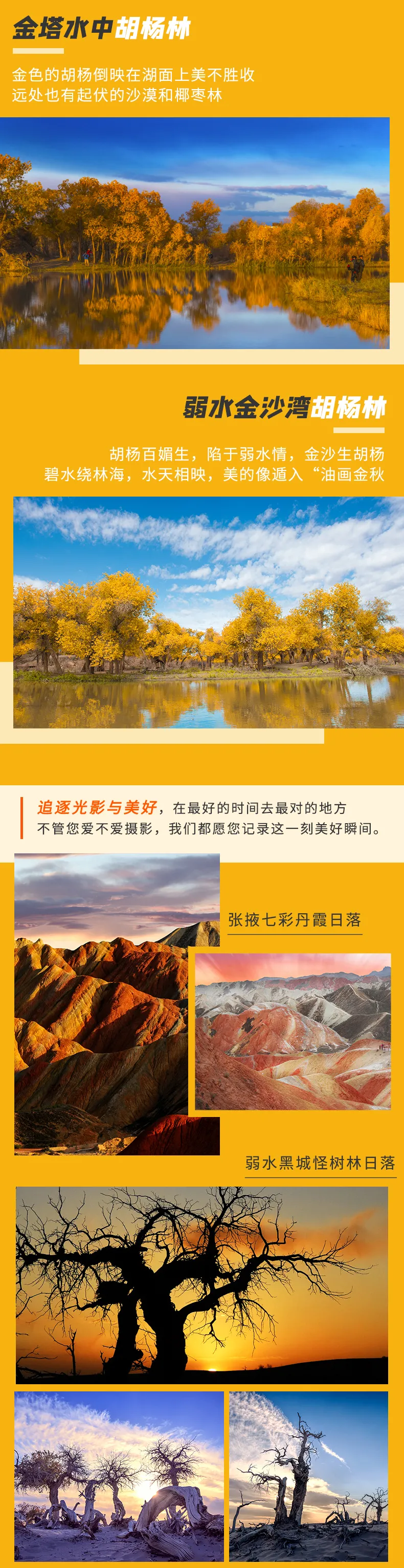 微信图片_20230803154839.png