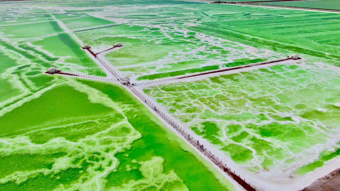 察尔汗盐湖.jpg