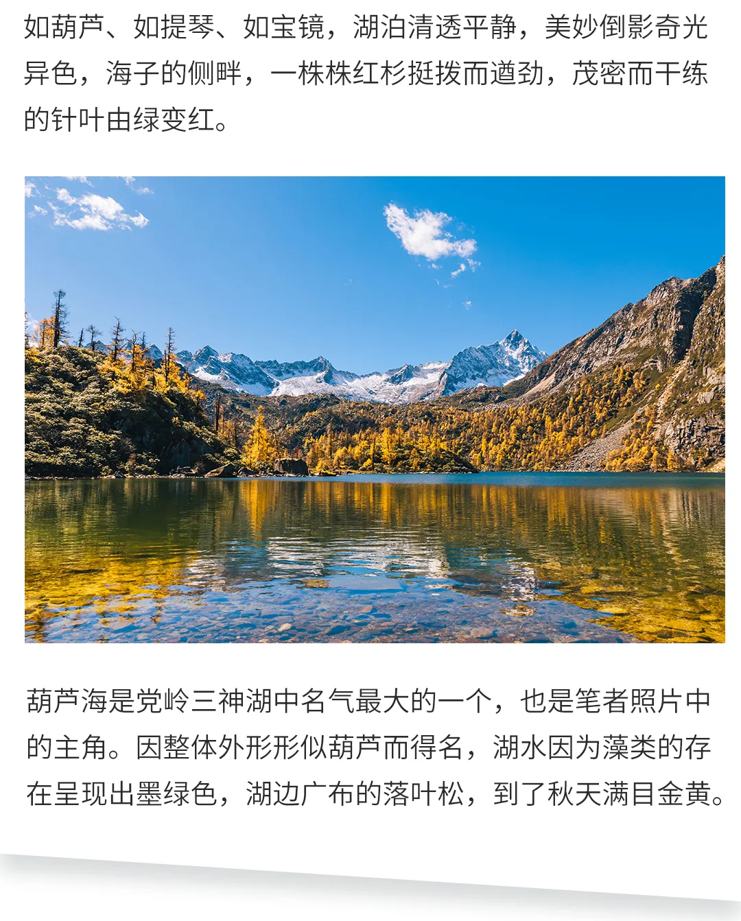 微信图片_20230924164314.png