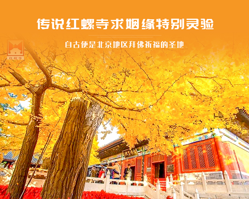 ★印象细图A2.jpg