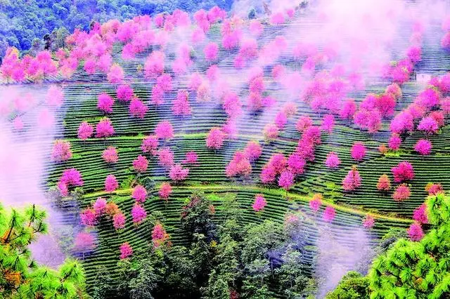 微信图片_20231012102929.png