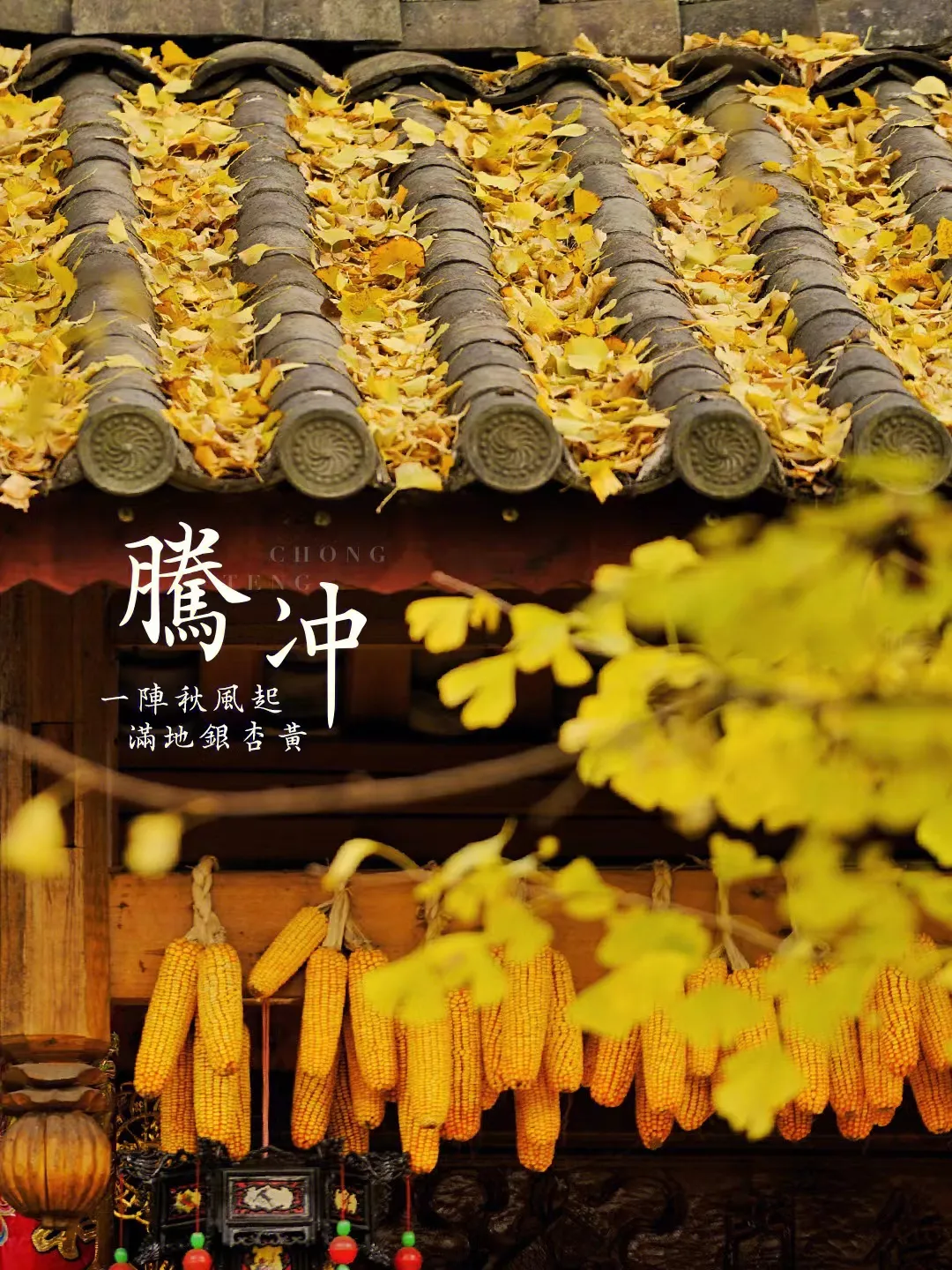微信图片_20231012103134.png