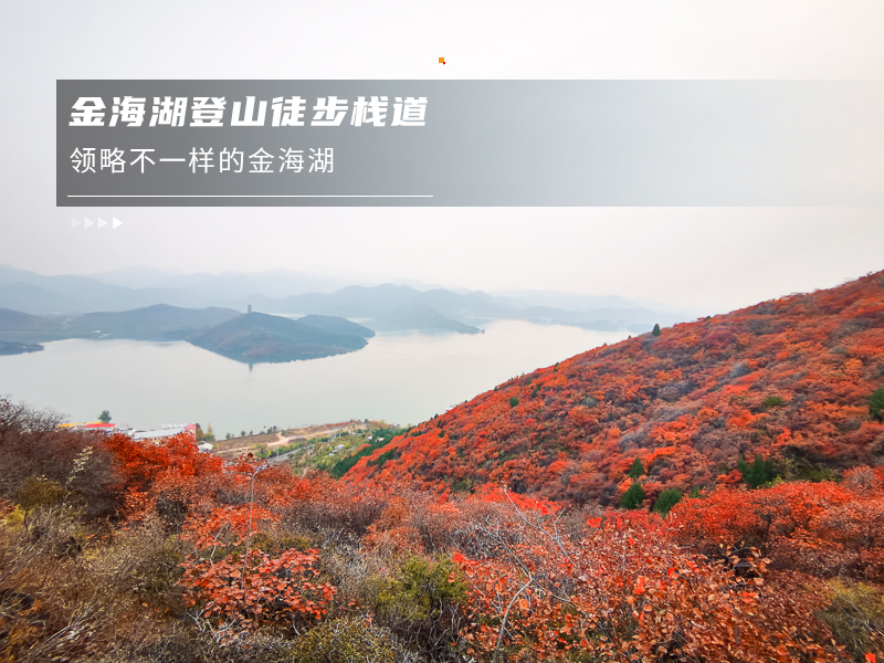 ★印象细图F1.jpg