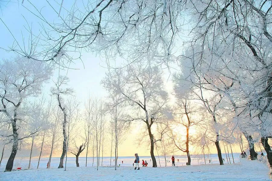 微信图片_20231101160750.png