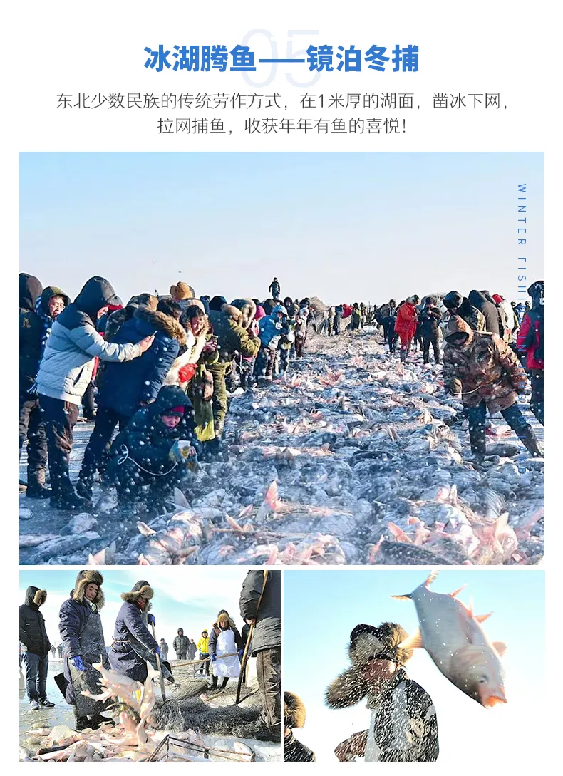 微信图片_20231101182723.png