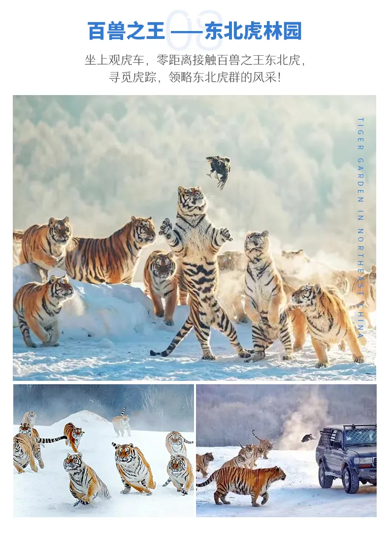 微信图片_20231101182822.png