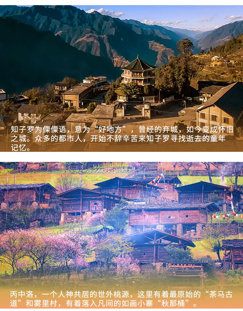 微信图片_20231102170732.png
