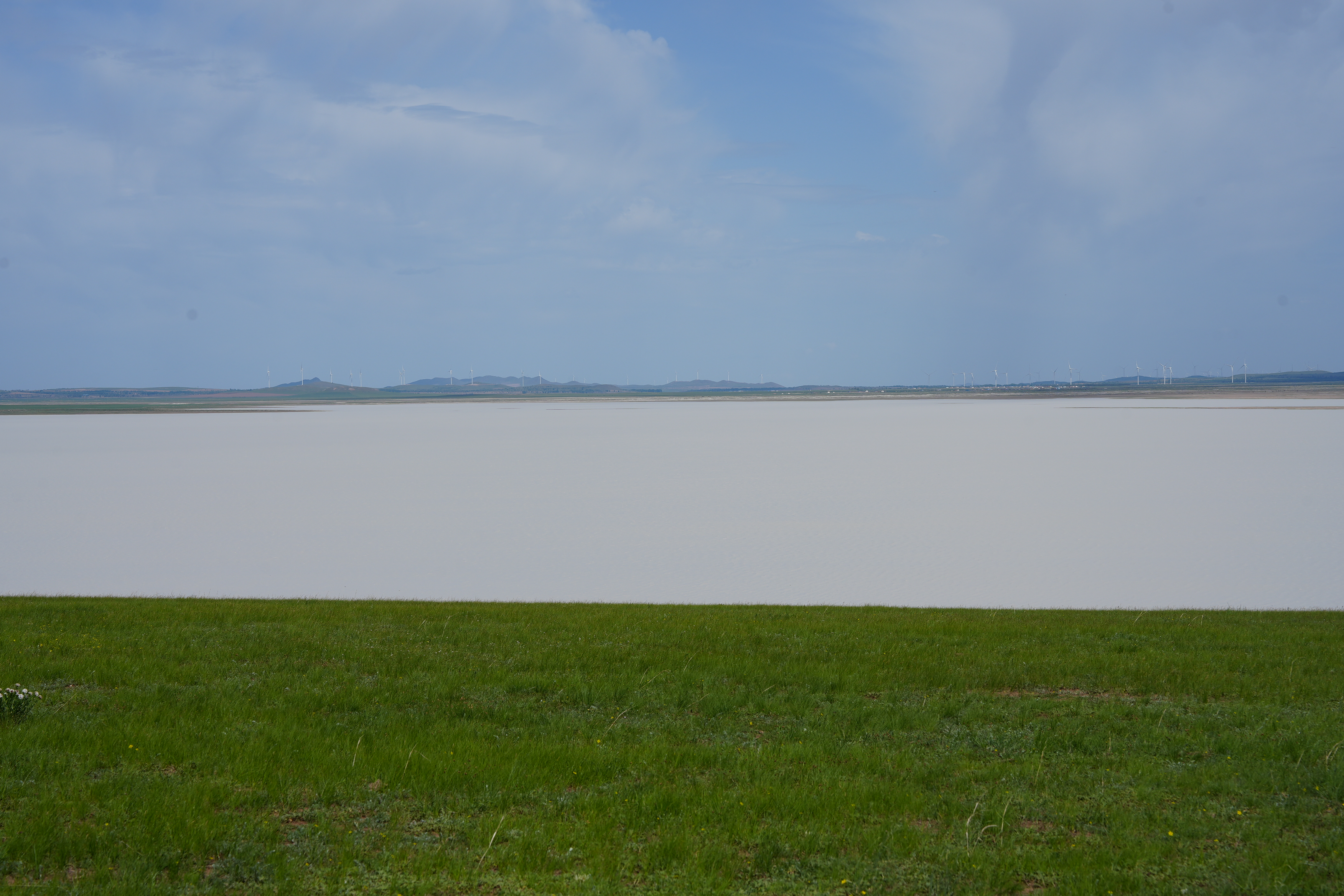 DSC08049.JPG