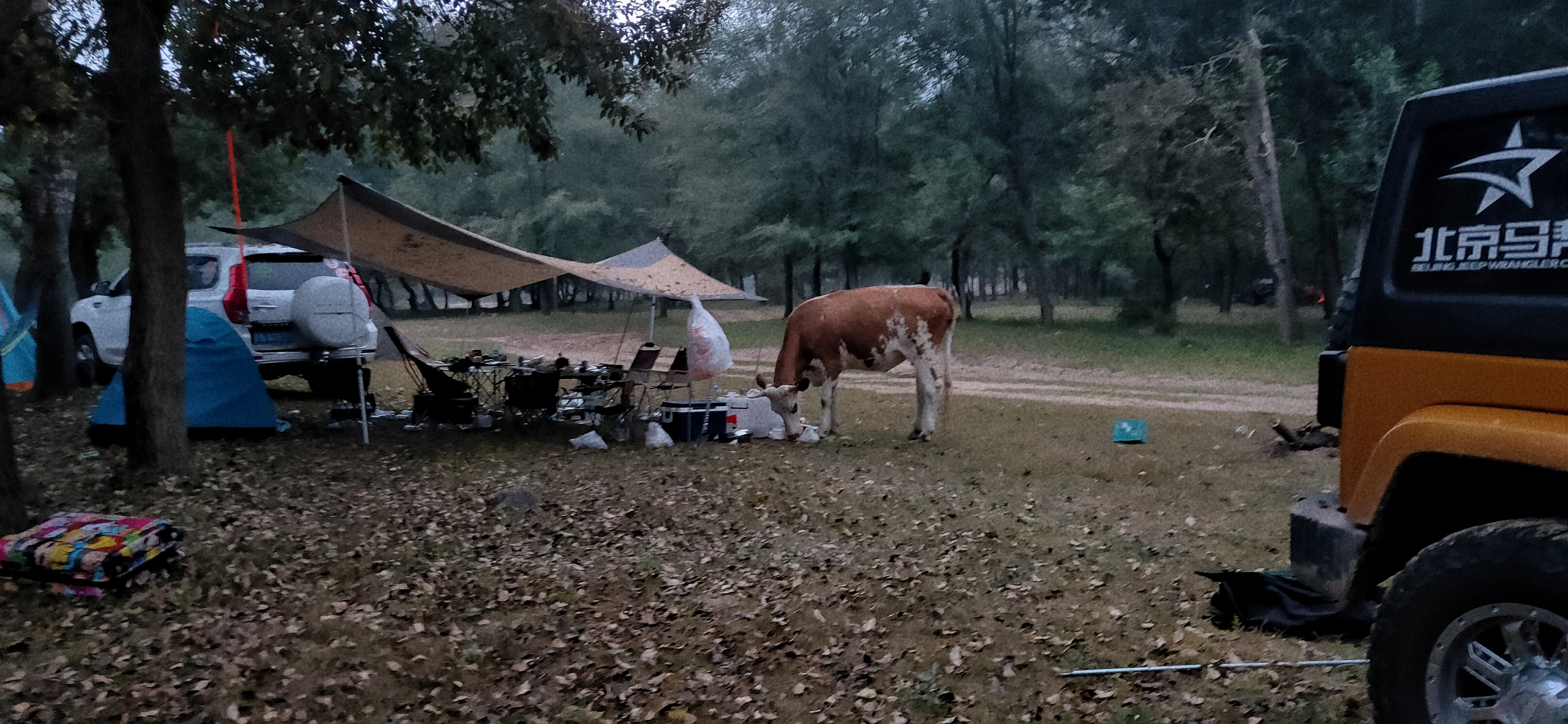 IMG20210912055418_mh1631427568294.jpg