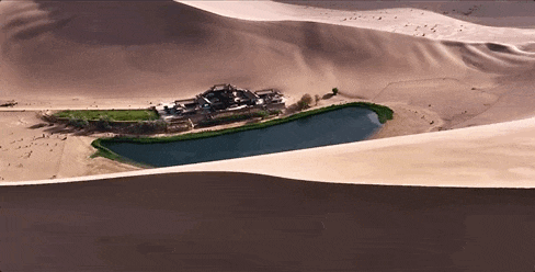 西北 (2).gif