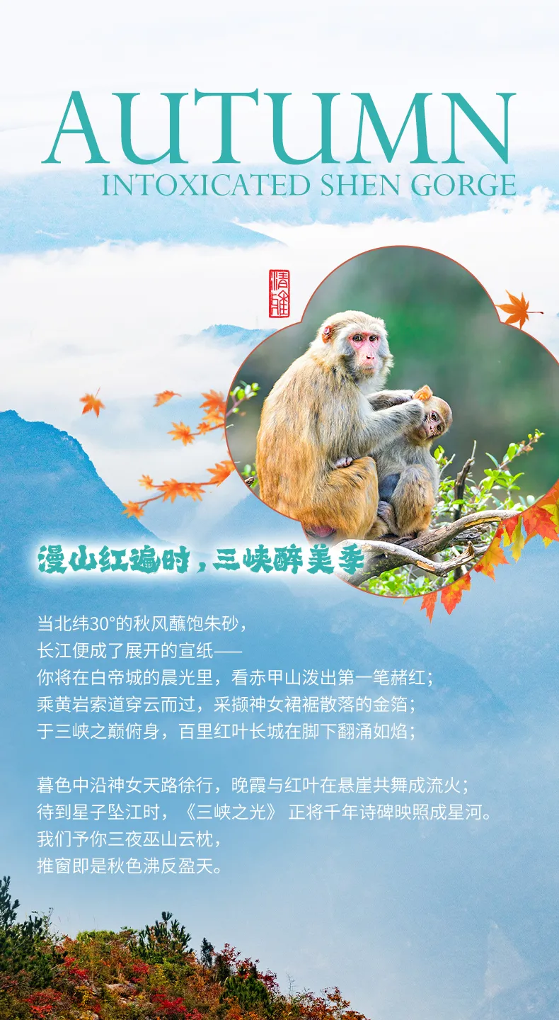 adb58a9d-ee51-4965-aa4d-38bef406aa77.png