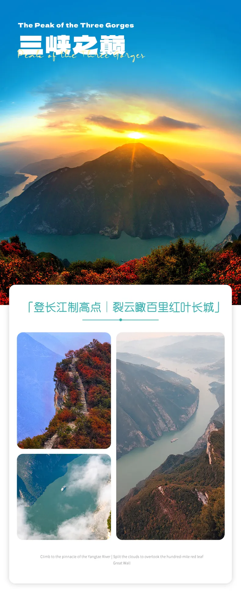 a9a63bf5-c86b-4104-82a6-c29255494260.png
