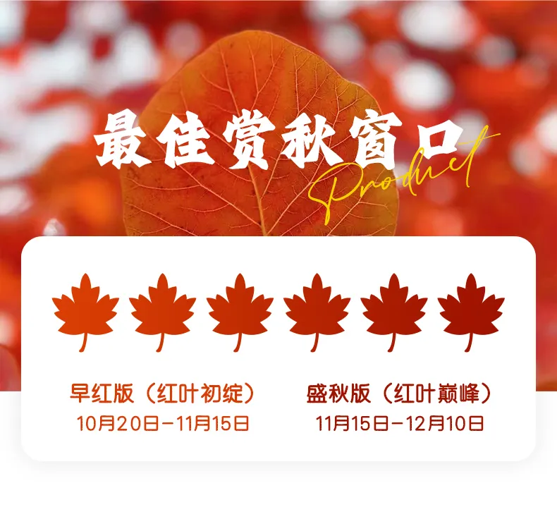 61696f8d-f0df-4bb3-9144-9fd924c7a9df.png