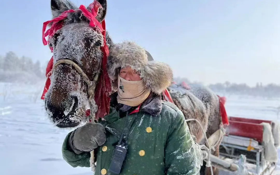 1761363704820539.png d3acf1bd55218e1ada63a45d74eae217.png