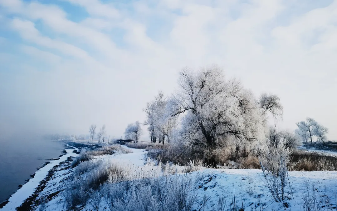 1761363780753066.png 13de5ec2a0521d927d5f980c80bfca14.png