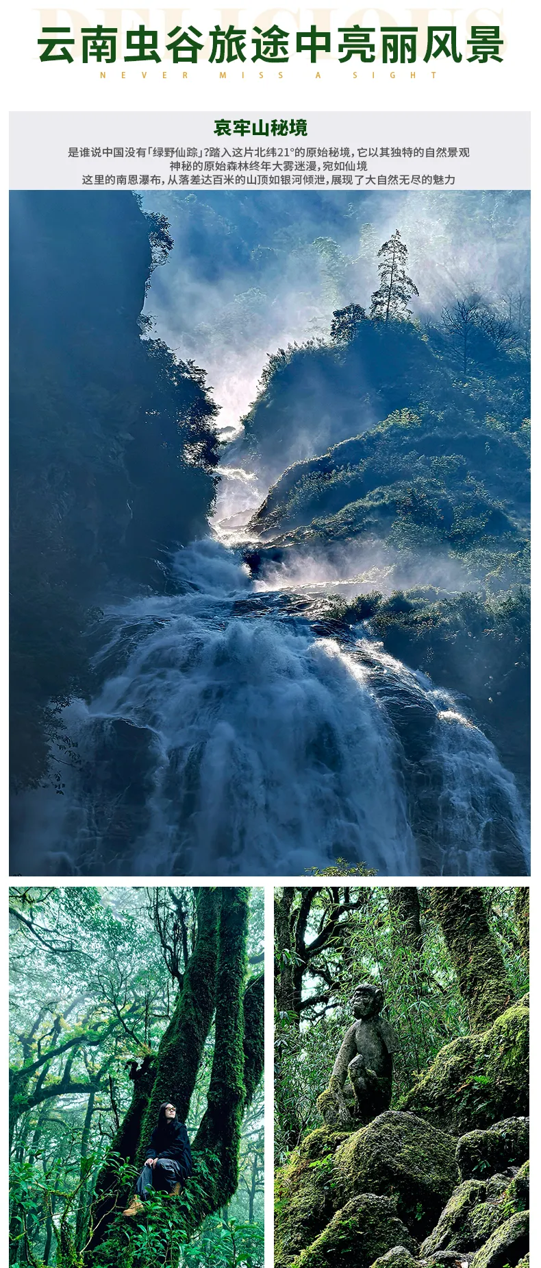 1761375237770893.png aa3bebe78d6057b206b2654464c27a71.png