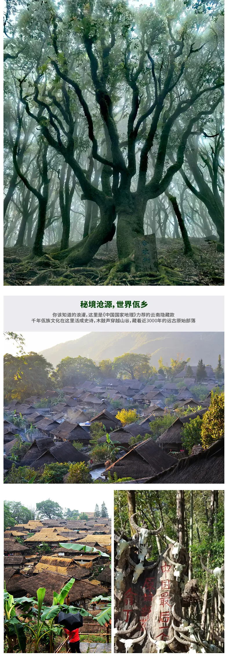 1761375256495505.png a873bf601bfbb4be7189497e585703eb.png