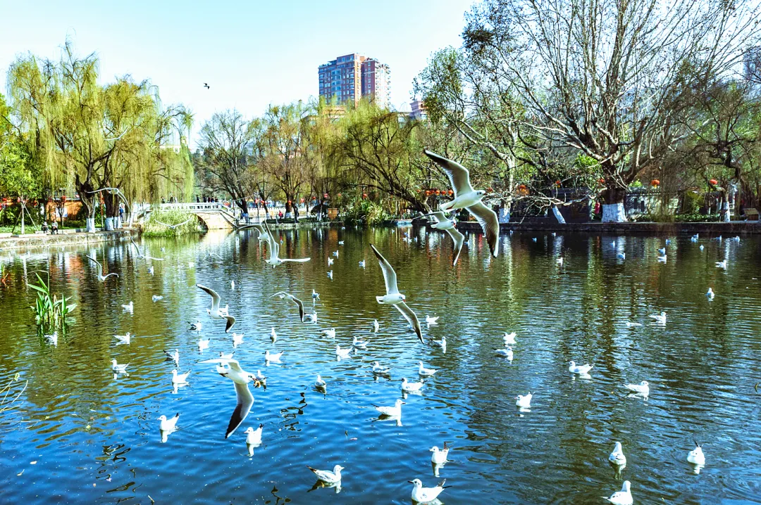 1761375899610753.png 4a48756709df5f28b736f35182d1a2e3.png