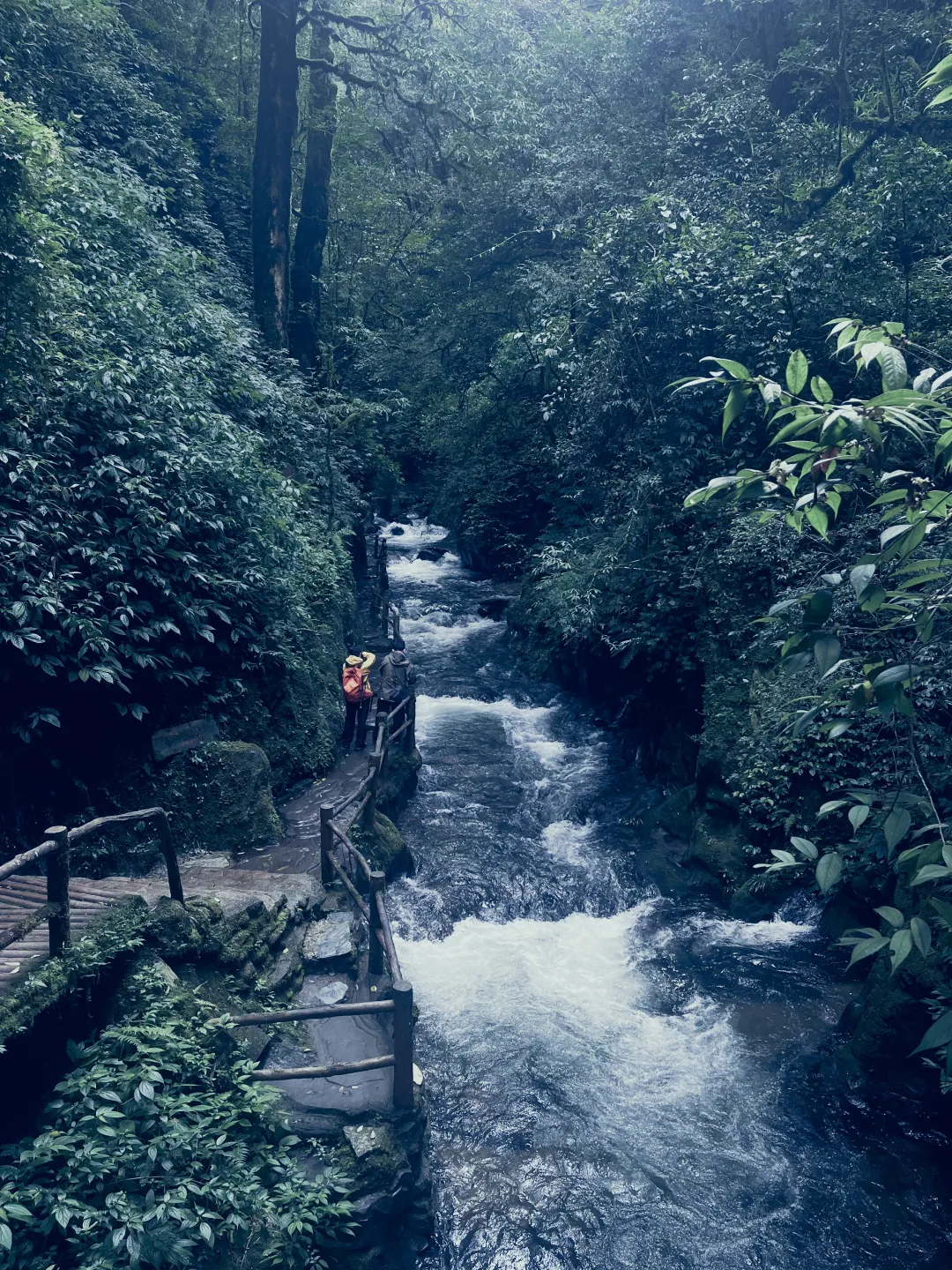 1761376046756739.png e3a09ae95d113276b3cbada60fcded93.png